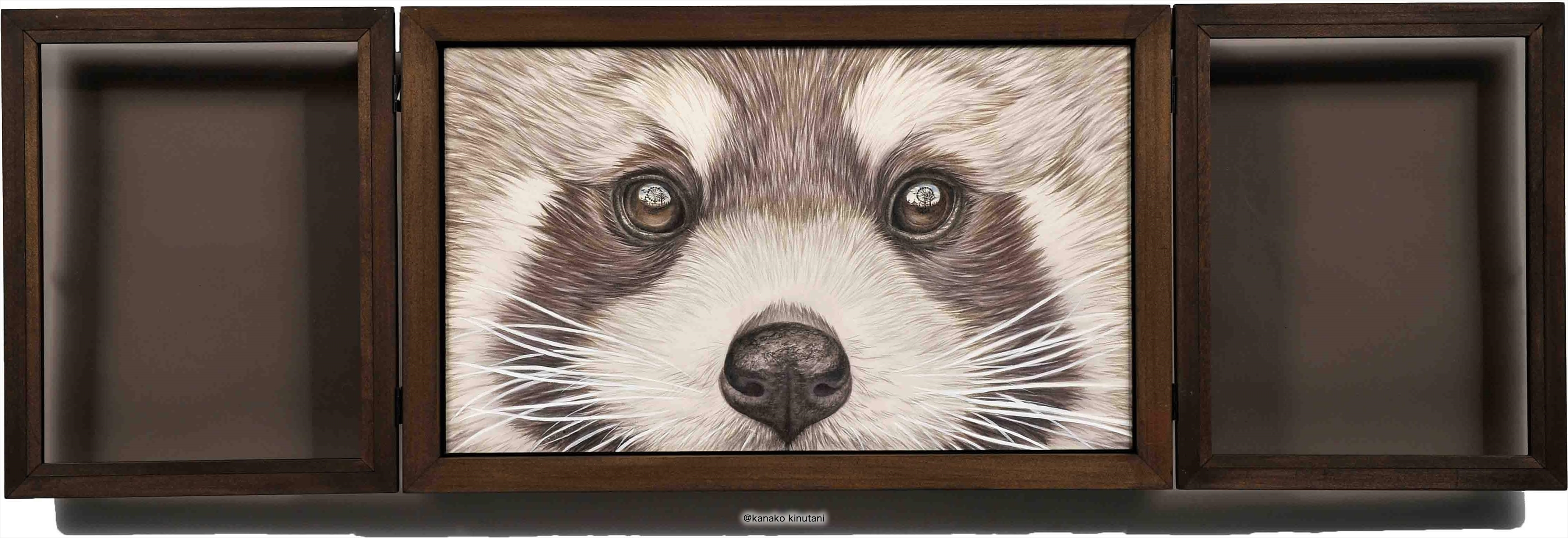 Window-Lesser panda-