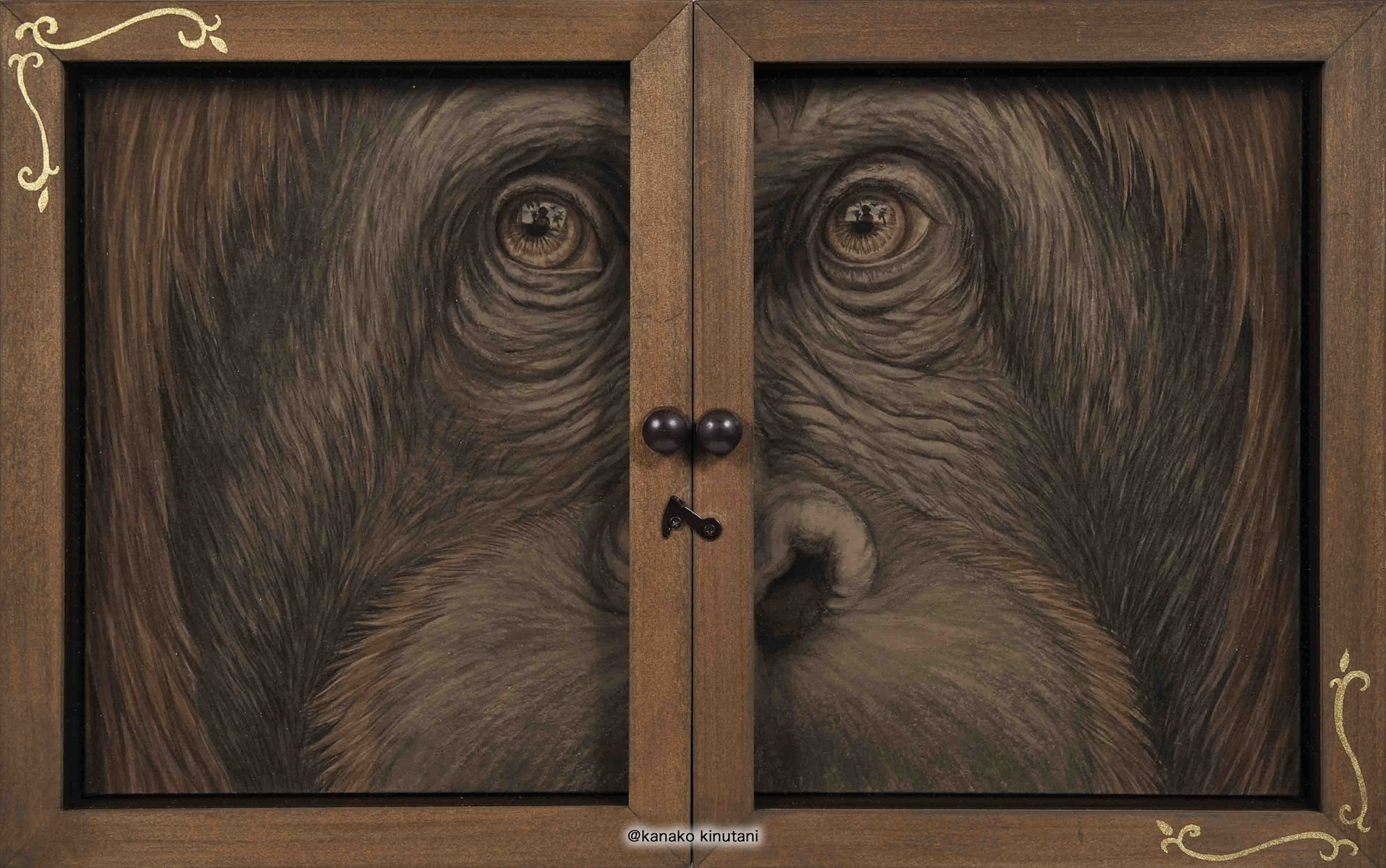 Window-Orangutan-