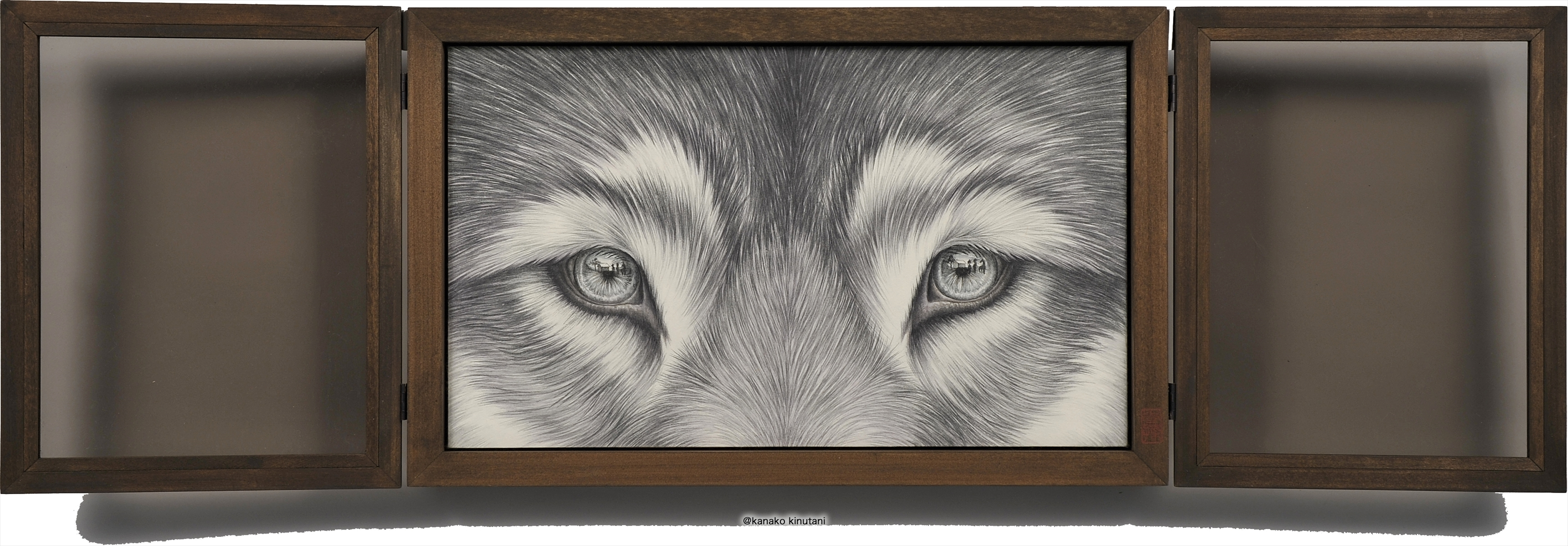 Window-Wolf-