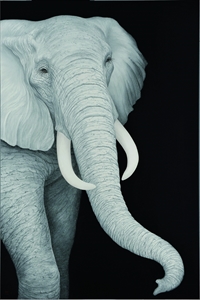 旅に出るものたち-Elephant-
