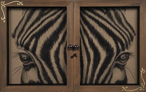 Window-Zebra-